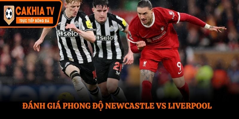 Đánh giá phong độ Newcastle vs Liverpool