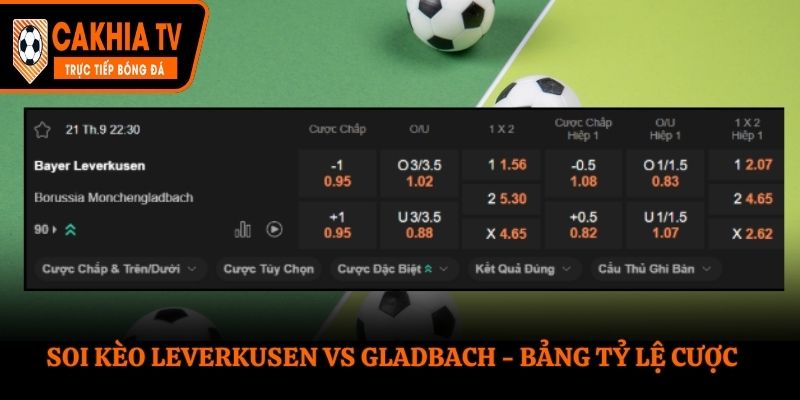 Soi kèo Leverkusen vs Gladbach - bảng tỷ lệ cược trong trận