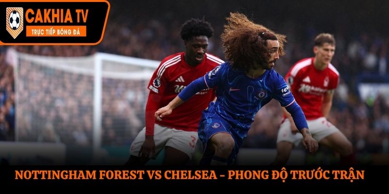 Soi kèo Nottingham Forest vs Chelsea - thống kê kết quả ra sân gần nhất